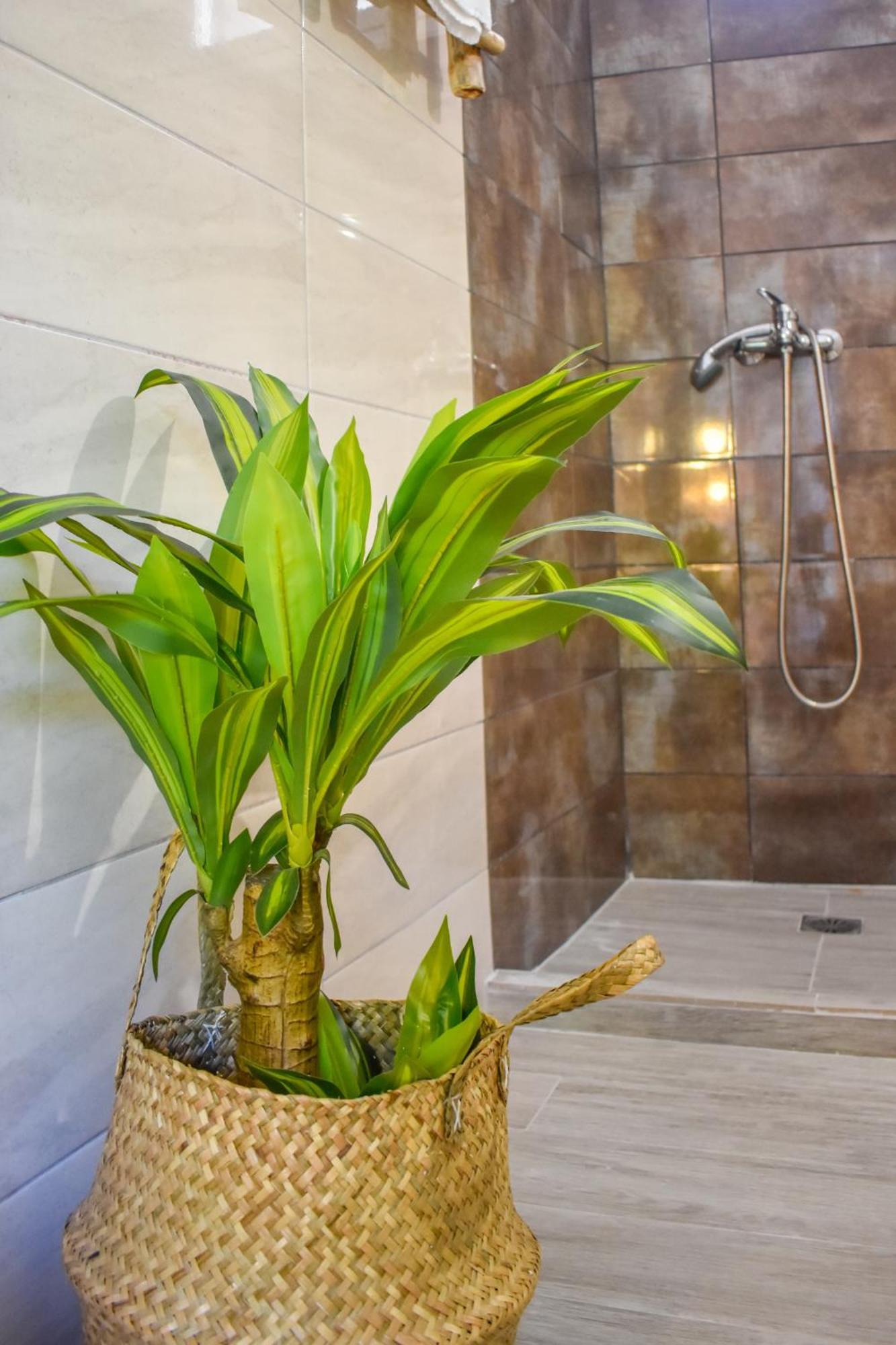 Aparthotel Bonsai Skiatos Zewnętrze zdjęcie